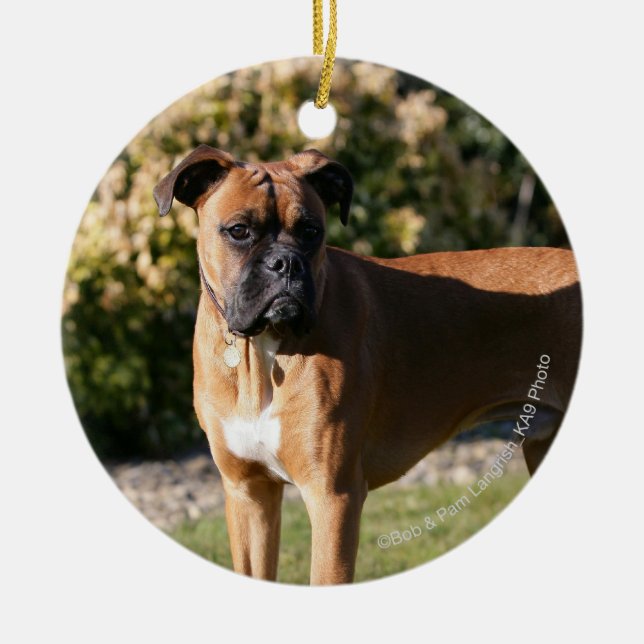 Kitz-Boxer-Hund stehend Keramikornament (Vorne)
