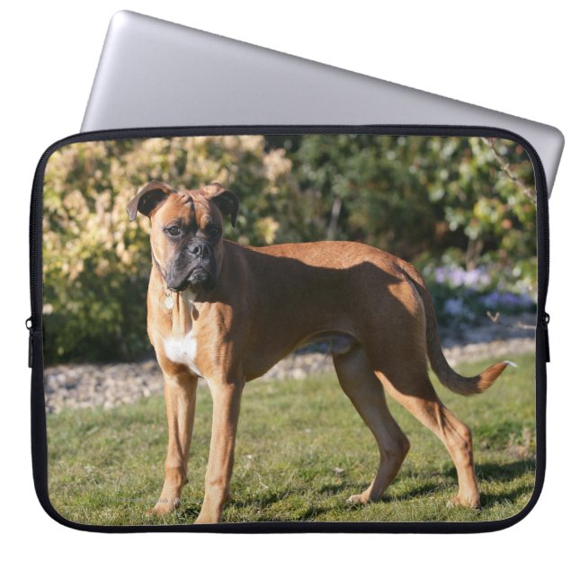 Kitz-Boxer-Hund stehend Laptopschutzhülle (Vorderseite)