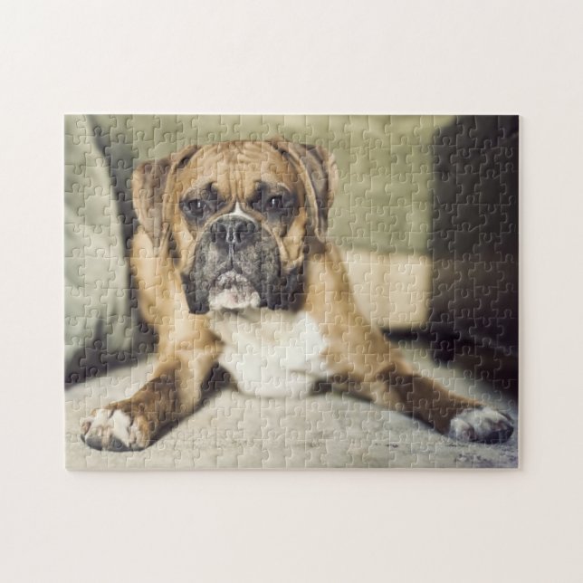 Kitz-Boxer-Welpe (Horizontal)