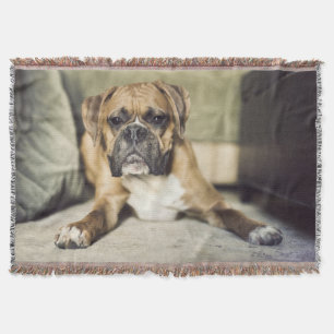 Kitz-Boxer-Welpe Decke