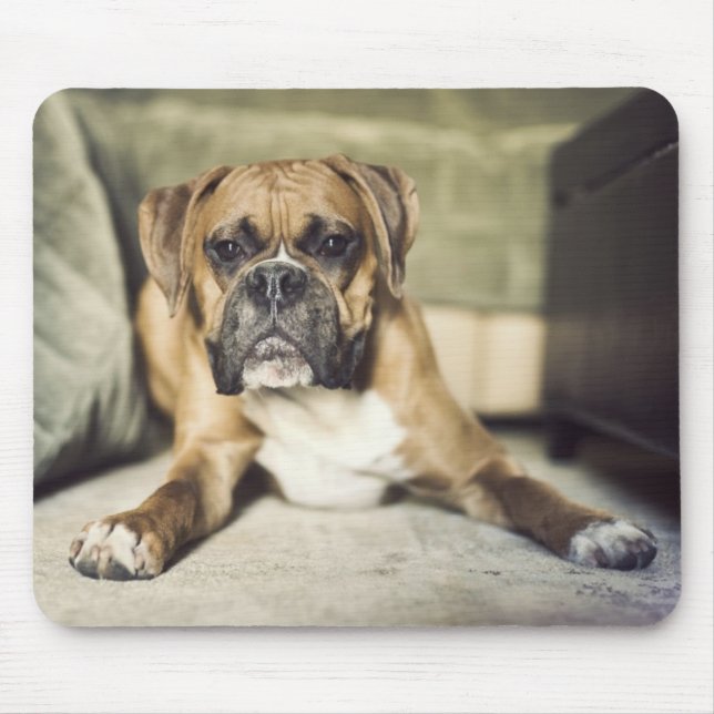 Kitz-Boxer-Welpe Mousepad (Vorne)