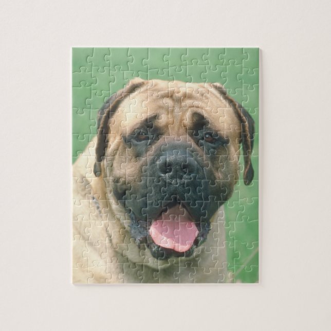 Kitz Bullmastiff Hundepuzzlespiel (Vertikal)