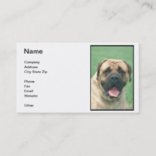 Kitz Bullmastiff Visitenkarte
