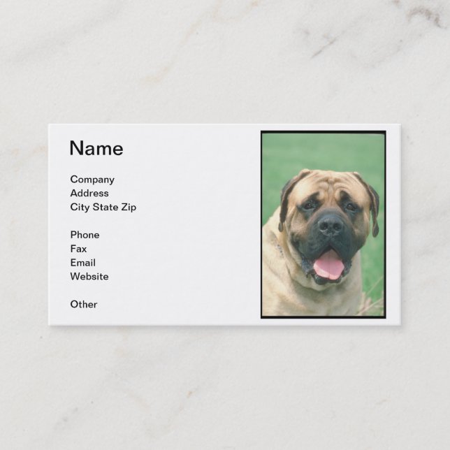 Kitz Bullmastiff Visitenkarte (Vorderseite)