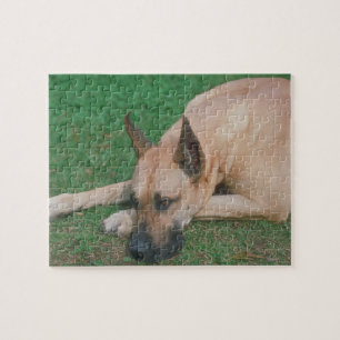 Kitz-Dogge-Hundepuzzlespiel