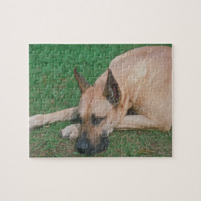 Kitz-Dogge-Hundepuzzlespiel (Horizontal)