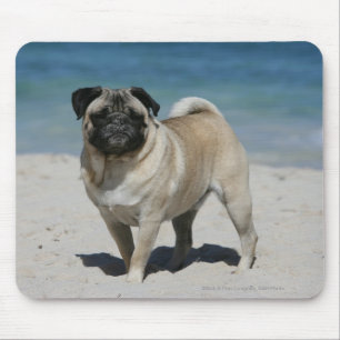 Kitz-Mops am Strand Mousepad