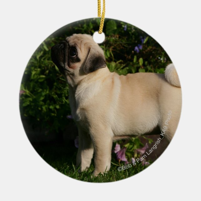 Kitz-Mops-Profil Keramik Ornament (Vorne)