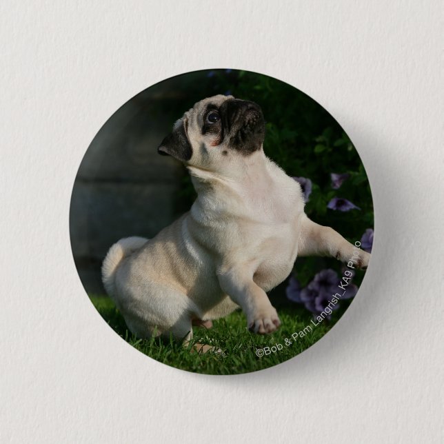 Kitz-Mops-Welpe Button (Vorderseite)
