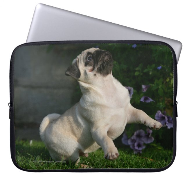 Kitz-Mops-Welpe Laptopschutzhülle (Vorderseite)