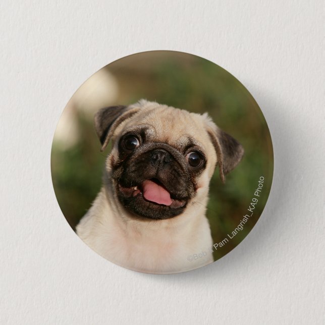 Kitz-Mops-Welpen-Keuchen Button (Vorderseite)