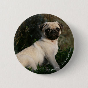 Kitz-Mops-Welpen-Sitzen Button