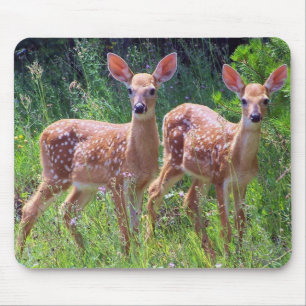 Kitz-Zwillinge im Hawkweed Mousepad