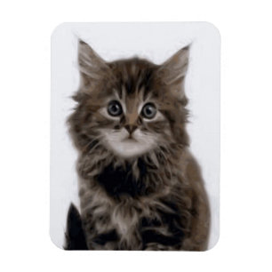 KITZE MAGNET