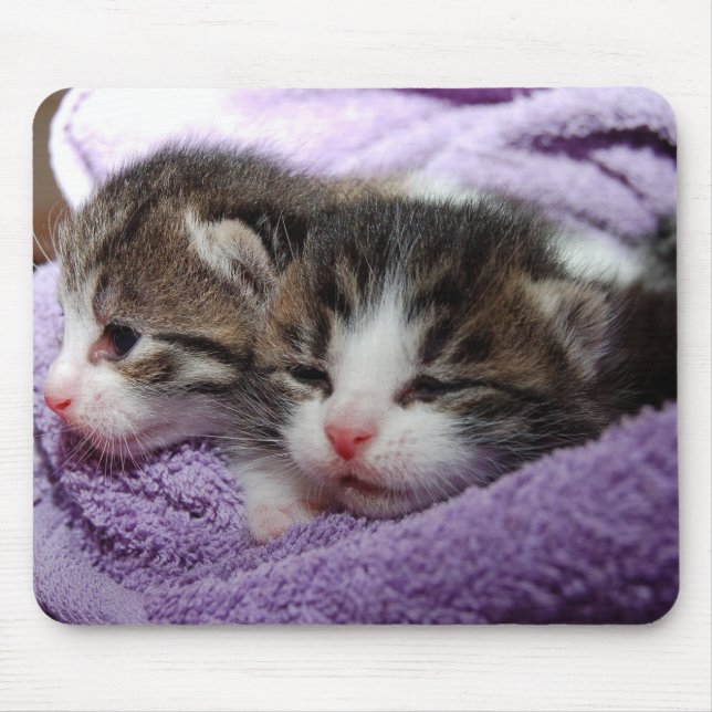 KITZE MOUSEPAD (Vorne)