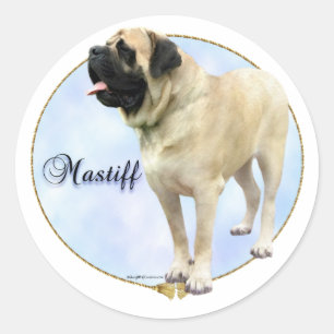 Kitzmastiff-Porträt-Aufkleber Runder Aufkleber