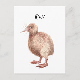 Kiwi Aquarell bemalt Vogelkarte. Postkarte