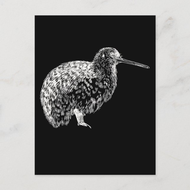 Kiwi Bird Portrait New Zealand Animal Postkarte (Vorderseite)