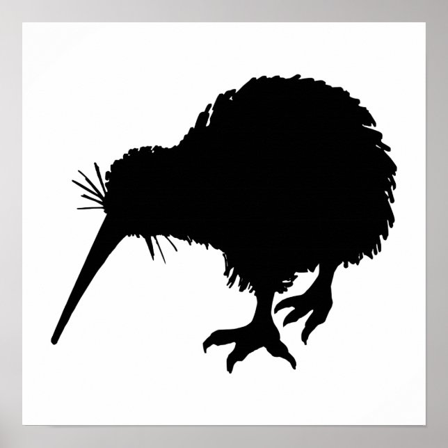 Kiwi Bird Silhouette Poster (Vorne)