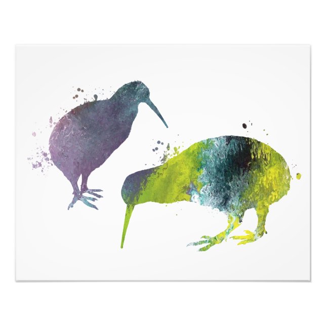 Kiwi birds fotodruck (Vorne)