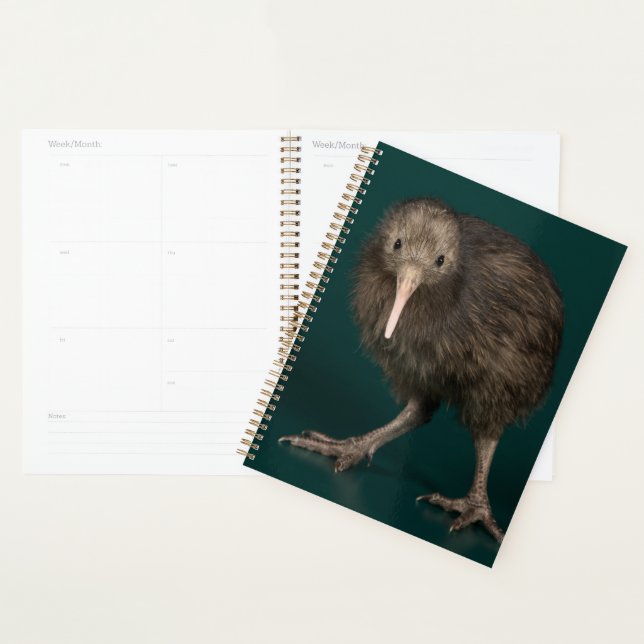 Kiwi Brown de North Island (Devant avec enveloppe)