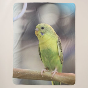 Kiwi Burbell Sherpadecke