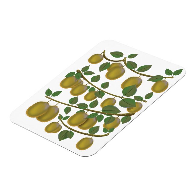 Kiwi-Frucht Magnet (Linke Seite)
