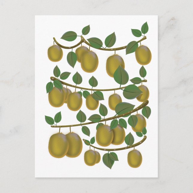Kiwi-Frucht Postkarte (Vorderseite)