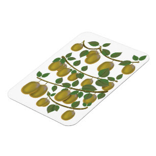 Kiwi Fruit Magnet