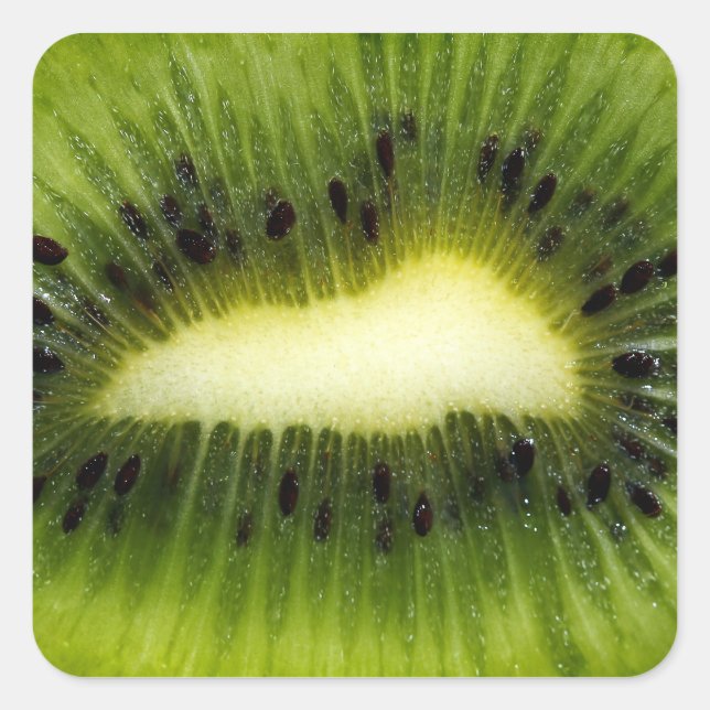 Kiwi Fruit Quadratischer Aufkleber (Vorderseite)