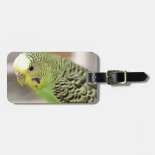 Kiwi Gepäckanhänger