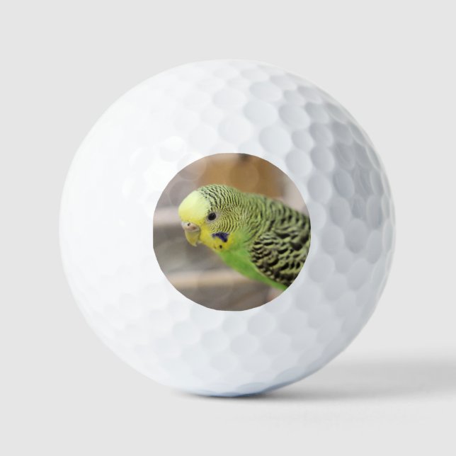 Kiwi Golfball (Vorderseite)