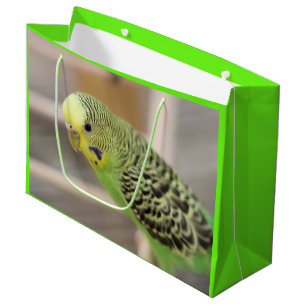 Kiwi Große Geschenktüte