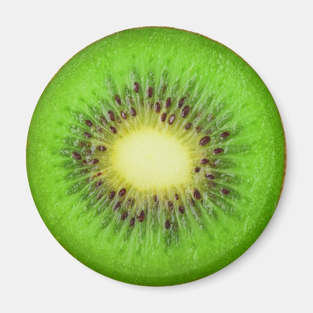 Kiwi Magnet (Vorne)