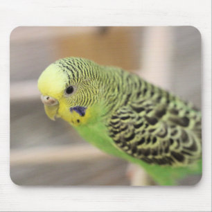 Kiwi Mousepad