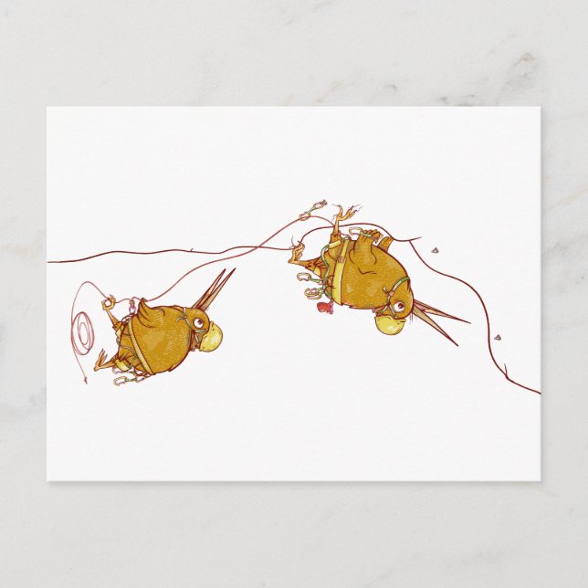 Kiwi NZ BIRDS ROCK CLIMBING Postkarte (Vorderseite)