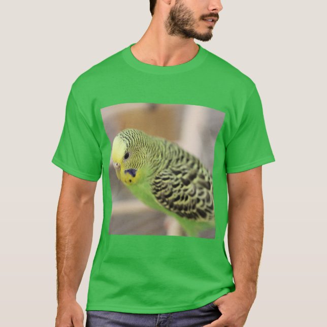 Kiwi T-Shirt (Vorderseite)