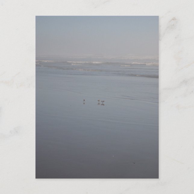 Klalaoch & Birds Postkarte (Vorderseite)