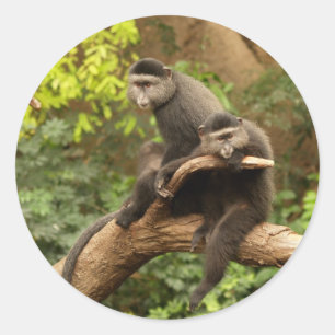 Klammer Runder Aufkleber