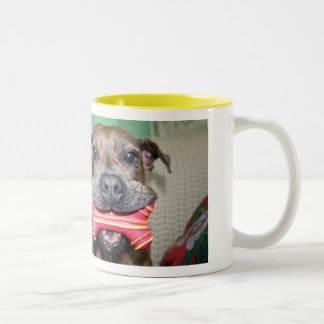 Klammern-alias Schwein Zweifarbige Tasse