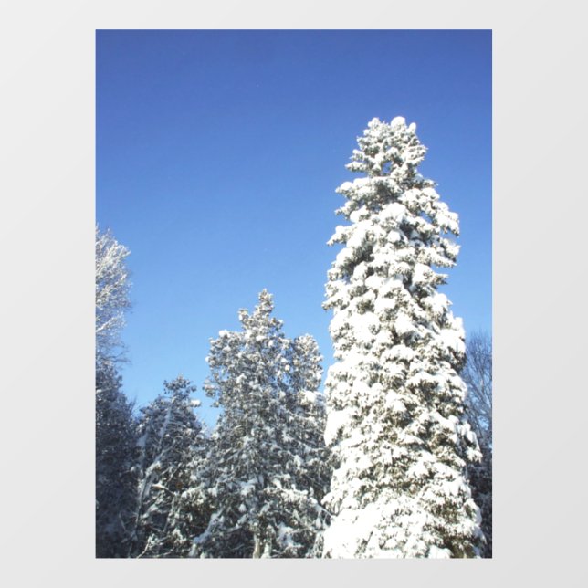 Klammern des Schneedecks des Tallenbaumes Fensteraufkleber (Blatt)