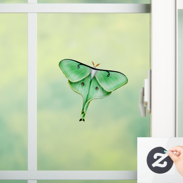 Klammern des "Wild Luna Moth Insect Bug Window" Fensteraufkleber (Zuhause)