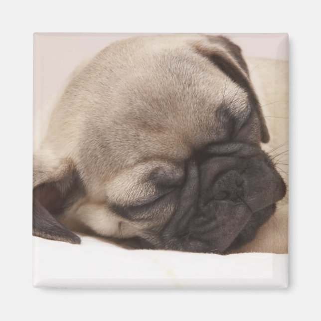 Klang schlafend magnet (Vorne)