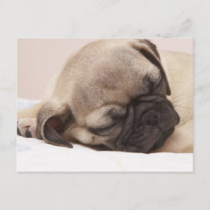 Klang schlafend postkarte