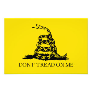 Klapperschlange Gadsden-Flagge: Kämpfe, Widerstand Fotodruck
