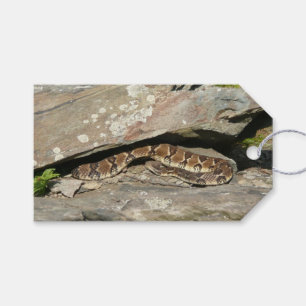 Klapperschlange im Shenandoah National Park Geschenkanhänger