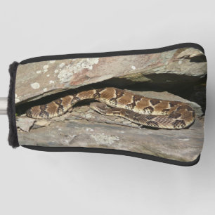 Klapperschlange im Shenandoah National Park Golf Headcover