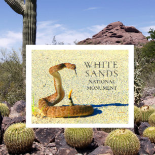 Klapperschlange vor White Sands Postkarte