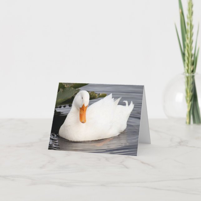 Klappkarte für das Foto der weißen Ente (Vorderseite)