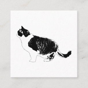 Klare Katze, ausgewogene Marke Quadratische Visitenkarte